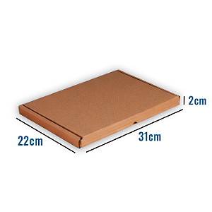 Caixa de Papelão N43 - 31 x 22 x 2