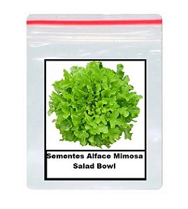 Sementes De alface mimosa salad bowl 100 unidades