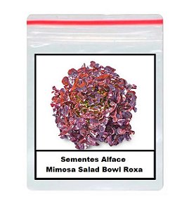 Sementes De alface mimosa salad bowl Roxa 100 unidades
