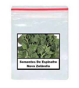 Sementes De Espinafre Nova Zelândia 100 unidades