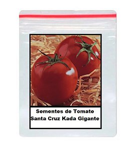 300 Sementes de Tomate Santa Cruz Kada Gigante