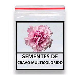40 Sementes De Cravo Chabaud Dobrado Rosa