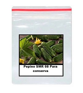 50 Sementes De Pepino SMR 58 Para conserva