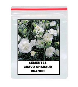 60 Sementes De Cravo Chabaud Branco Craveiro