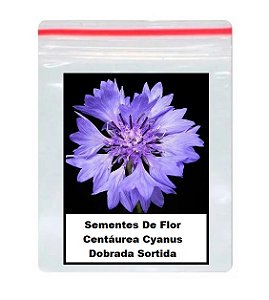 60 Sementes De Flor Centáurea Cyanus Dobrada Sortida