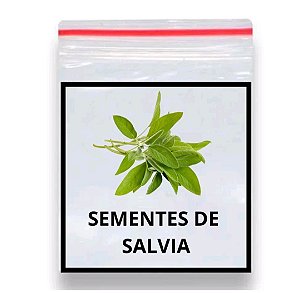 Sementes de Salvia  officinalis 70 unidades