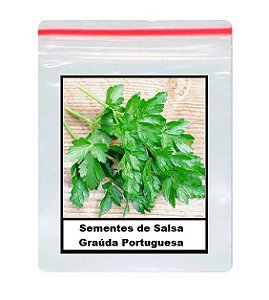 80 Sementes de Salsa Graúda Portuguesa