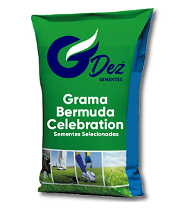 Sementes De Grama Bermuda Celebration - 1 Kg