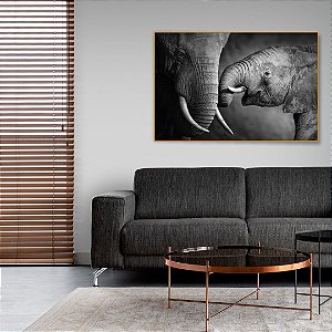 Quadro Decorativo - Animais 061