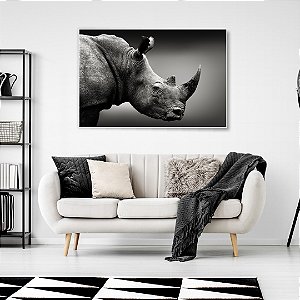 Quadro Decorativo - Animais 062