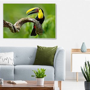Quadro Decorativo - Animais 062