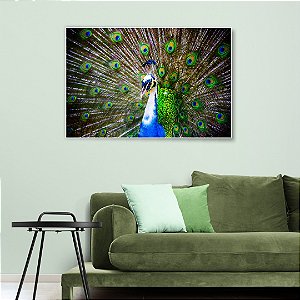 Quadro Decorativo - Animais 068