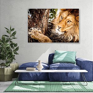 Quadro Decorativo - Animais 069