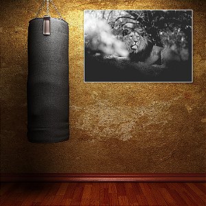 Quadro Decorativo - Animais 071