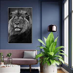 Quadro Decorativo - Animais 076