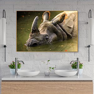 Quadro Decorativo - Animais 078