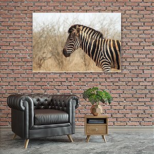 Quadro Decorativo - Animais 083