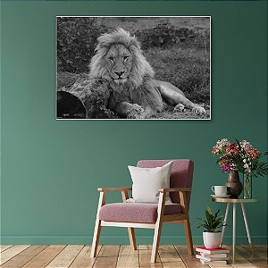 Quadro Decorativo - Animais 085