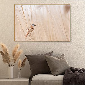Quadro Decorativo - Animais 086
