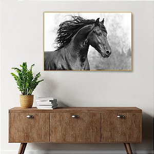 Quadro Decorativo - Animais 087