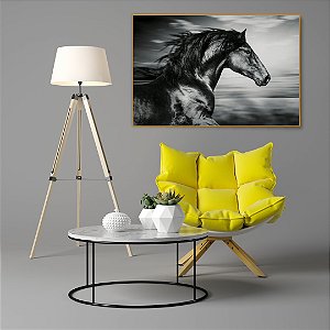 Quadro Decorativo - Animais 088