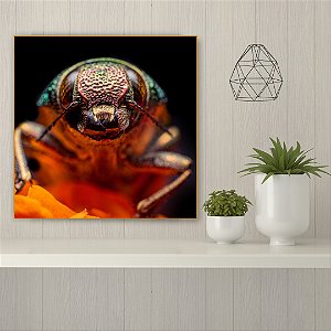 Quadro Decorativo - Animais 090