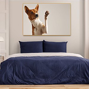 Quadro Decorativo - Animais 094