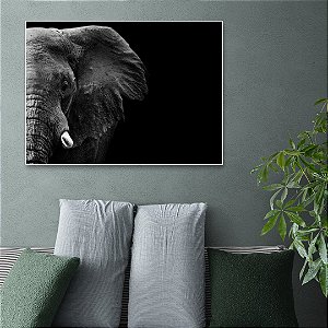 Quadro Decorativo - Animais 096