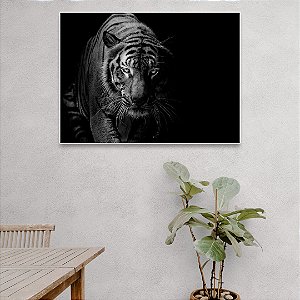 Quadro Decorativo - Animais 097