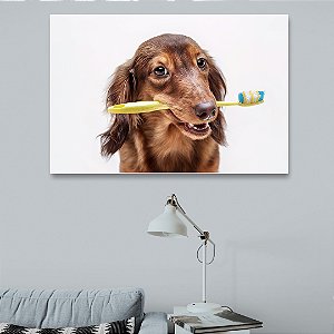 Quadro Decorativo - Animais 098