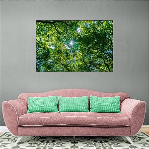 Quadro Decorativo - Floresta 001