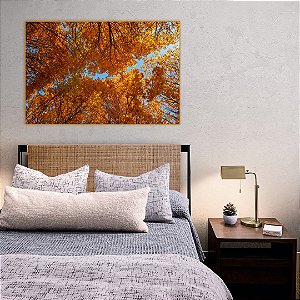 Quadro Decorativo - Floresta 002