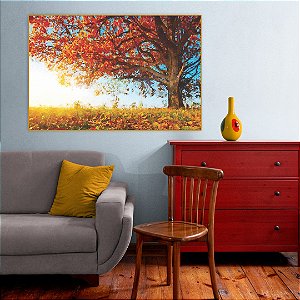 Quadro Decorativo - Floresta 003