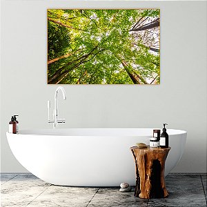 Quadro Decorativo - Floresta 004