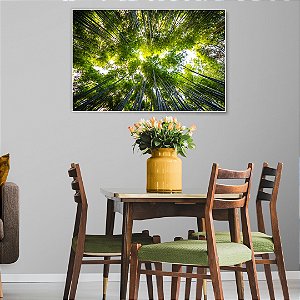 Quadro Decorativo - Floresta 008
