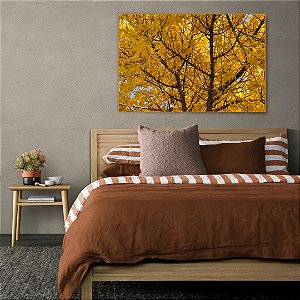 Quadro Decorativo - Floresta 009