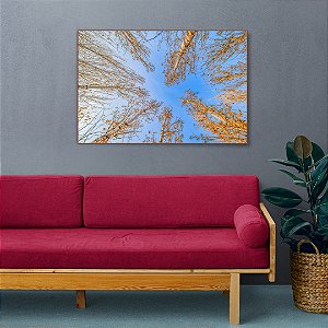 Quadro Decorativo - Floresta 011
