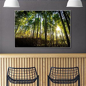 Quadro Decorativo - Floresta 012