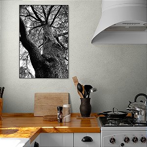 Quadro Decorativo - Floresta 015