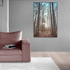 Quadro Decorativo - Floresta 016