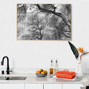 Quadro Decorativo - Floresta 018