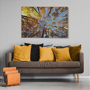 Quadro Decorativo - Floresta 019