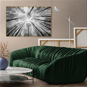 Quadro Decorativo - Floresta 020
