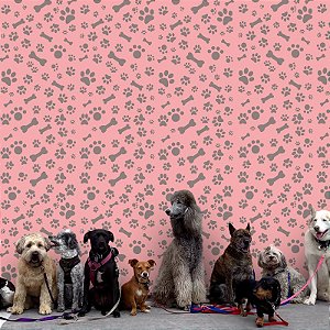 Papel de Parede - Animal 029