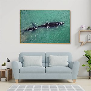 Quadro Decorativo - Márcio PJ 002