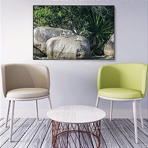 Quadro Decorativo - Márcio PJ 010