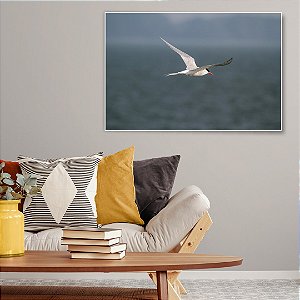 Quadro Decorativo - Márcio PJ 016