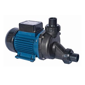 Motobomba Para Hidromassagem 1CV ECH-100I Eletroplas 220V