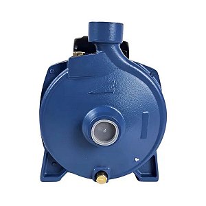 Motobomba Eletroplas Centrifuga Standard MCSE-100B 1CV Bivolt