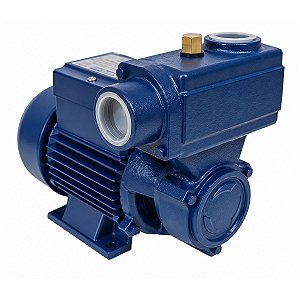 Motobomba Eletroplas ICA-100AB Auto-Aspirante 1HP Bivolt